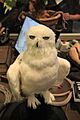 The Making of Harry Potter 29-05-2012 (7527424958)