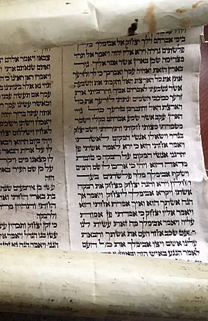 Archivo:Torah Scroll Knanaya Family Heirloom