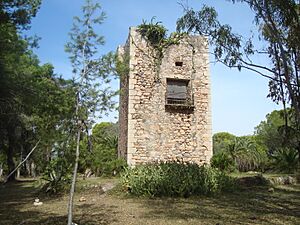 Archivo:Torre de Torrelasal