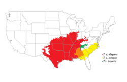 Distribución de sus subespecies en EEUU.