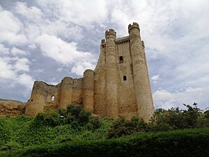 Archivo:Valencia de Don Juan (Castillo)