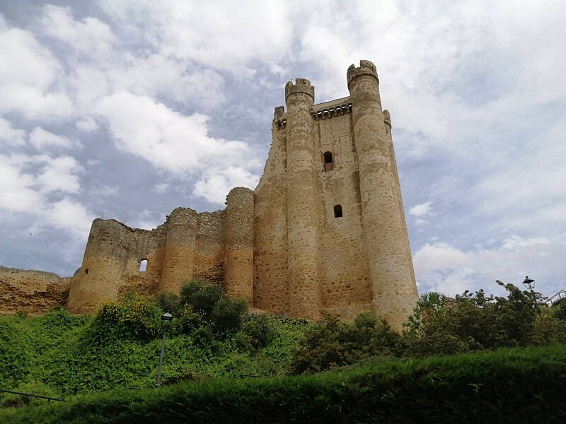 Valencia de Don Juan (Castillo)