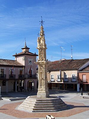 Archivo:Villalon de Campos rollo lou