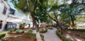 Visitas-4