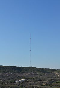 Vista de la torreta de Guardamar des del castell.JPG