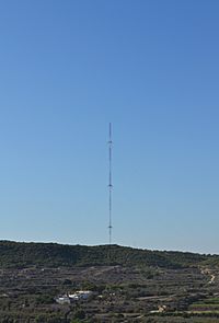 Vista de la torreta de Guardamar des del castell.JPG