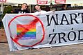 02014 Nationale Bewegung - Polen, NSZ (croppecd)