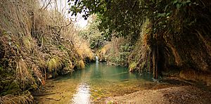 Archivo:Agua cueva de los angeles