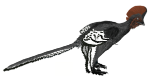 Archivo:Anchiornis martyniuk