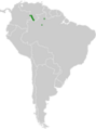 Aprositornis disjuncta map