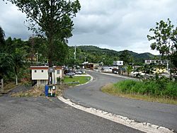 Barrio Espino, Lares, Puerto Rico, PR-435 junction with PR-124.jpg