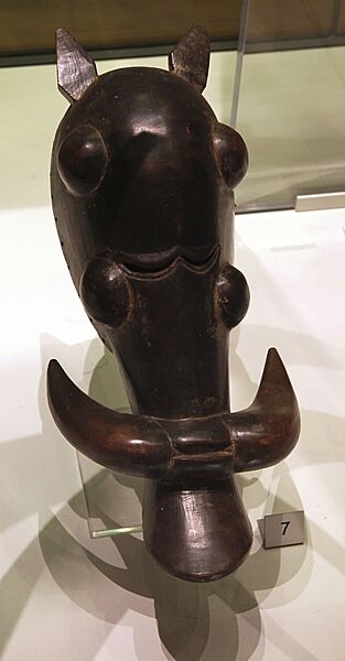 British Museum Room 25 Mask Warthog Senufo people 17022019 4995