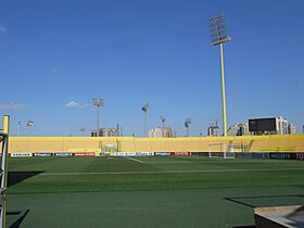 Campo de juego del estadio Zabeel.jpg