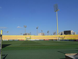 Archivo:Campo de juego del estadio Zabeel