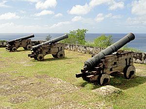 Archivo:Cannons - Fort Nuestra Señora de la Soledåd - Umatac, Guam - DSC00958