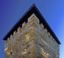 Archivo:Casa Torre de Salazar desde un ángulo imposible