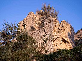 Castell de Rebollet (la Font d'en Carròs, comarca de la Safor, País Valencià).jpg