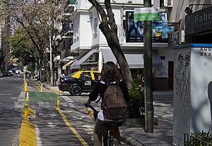Archivo:Ciclismo urbano en Buenos Aires