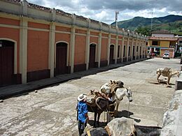 Archivo:Cisneros -Antioquia