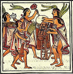 Archivo:Codex Florentino Lam19