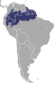 Common Squirrel Monkey area