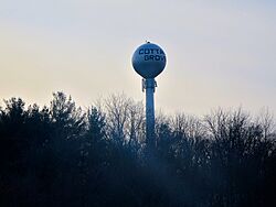 Cottage Grove Tower 1 - panoramio.jpg