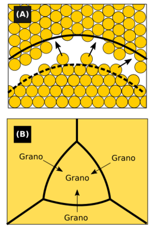 Archivo:Crecimiento de grano