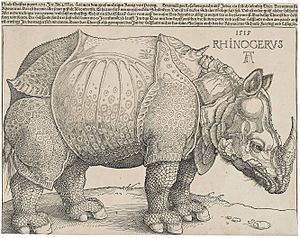 Archivo:Dürer's Rhinoceros, 1515
