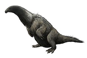 Archivo:Erliansaurus bellamanus