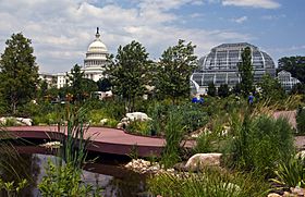 Flickr - USCapitol - The U.S. Capitol and U.S. Botanic Garden.jpg