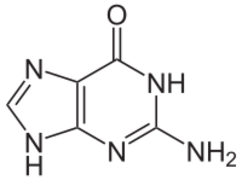 Guanin