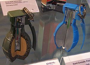Archivo:IDET2007-grenades-cutaway-detail