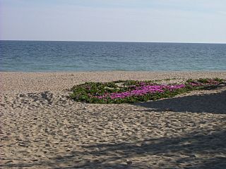 LaAntilla.JPG