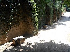 Laberint d'Horta - Cementiri