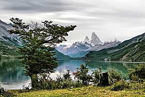 Archivo:Lago Desierto 182