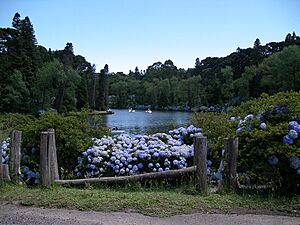 Archivo:Lagonegro3