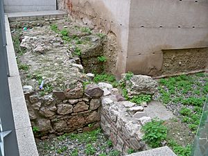 Archivo:Medieval Walls of Málaga in Carretería, ground view
