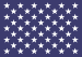 Naval Jack of the United States.svg