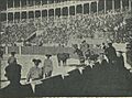 Novillada el 22 de noviembre de 1896 en la plaza de Toros de Madrid, de Franzen