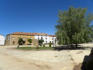 Archivo:Ojuel
