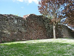 Archivo:Old Exeter City wall - geograph.org.uk - 1286996