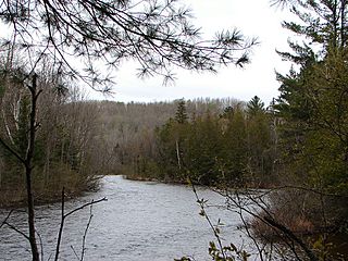 Opeongo River.jpg