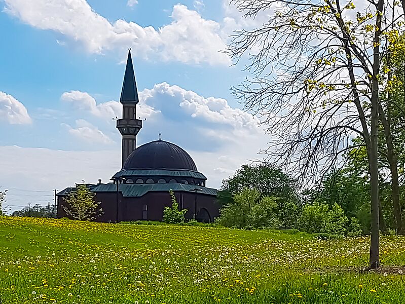 Ottawa Mosque - 2018 (181908)