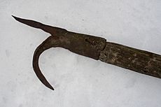 Archivo:Pike-pole1