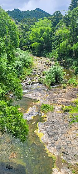 Río Hondo, Comerío, Puerto Rico.jpg