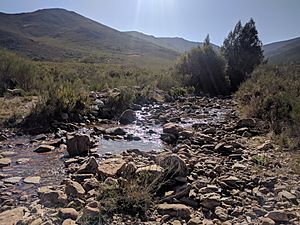 Archivo:Río del Valle en Valdavido