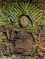 Relief in Gran Pajaten
