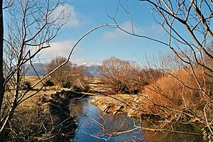 Archivo:Rio adaja