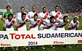 River-plate-2014-primera-división-sudamericana