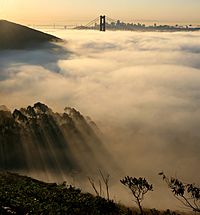 Archivo:San francisco in fog with rays